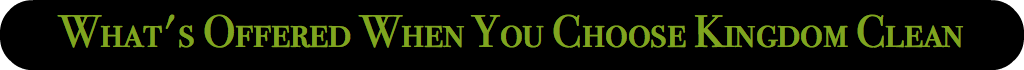 What's Offered When You Choose Kingdom Clean